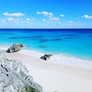 Meet your Posher, Tawana